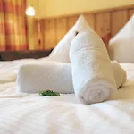 贝格费瑞豪斯兰德宫酒店 福森