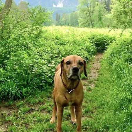 Und Berger * Füssen