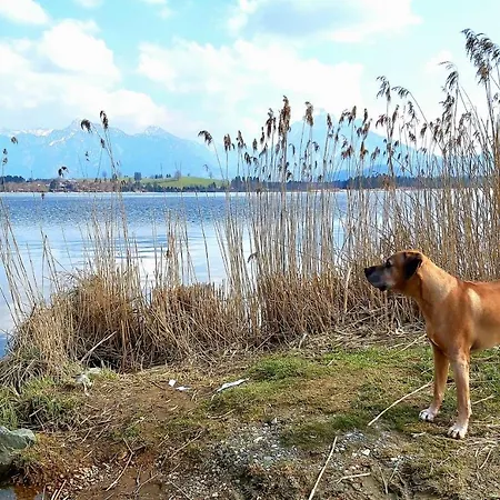 Und Berger * Füssen