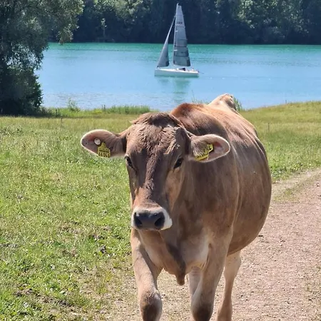 Und Berger Füssen