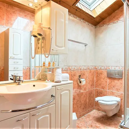 贝格费瑞豪斯兰德宫酒店 福森