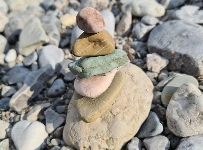 公寓 贝格费瑞豪斯兰德宫酒店 *