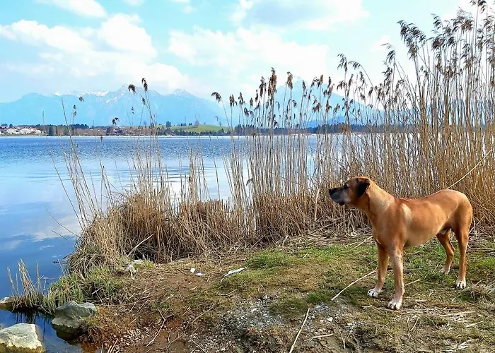 贝格费瑞豪斯兰德宫酒店 * 福森