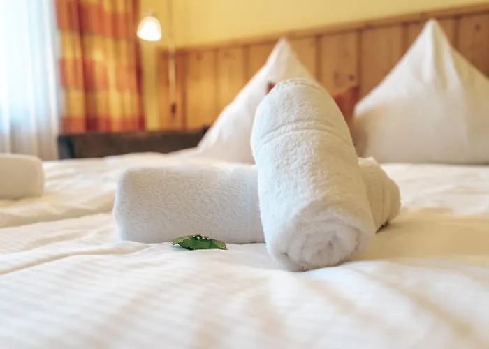 贝格费瑞豪斯兰德宫酒店 福森