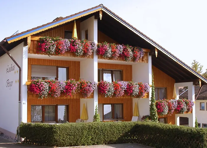 公寓 贝格费瑞豪斯兰德宫酒店